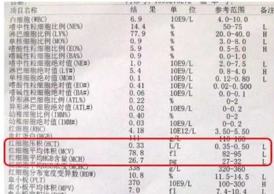 怀孕了什么情况需要去检查地中海贫血,孕期地贫检查最佳时期 第1张 怀孕了什么情况需要去检查地中海贫血,孕期地贫检查最佳时期 第1张