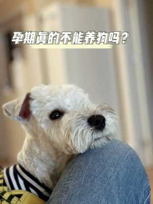隔壁养狗,老婆怀孕,会不会有什么影响,狗狗受孕期是多少天 第2张 隔壁养狗,老婆怀孕,会不会有什么影响,狗狗受孕期是多少天 第2张