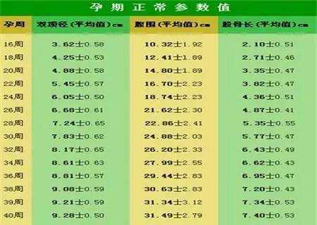 胎儿增长慢（胎儿增长慢）  第2张