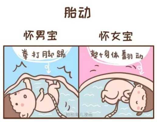 胎儿拳打脚踢(胎儿拳打脚踢) 第2张 胎儿拳打脚踢(胎儿拳打脚踢) 第2张