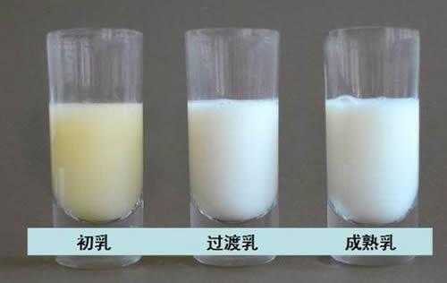 孕期初乳(孕期初乳什么时候出现) 第1张 孕期初乳(孕期初乳什么时候出现) 第1张