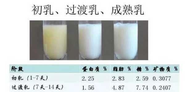 孕期初乳(孕期初乳什么时候出现) 第2张 孕期初乳(孕期初乳什么时候出现) 第2张