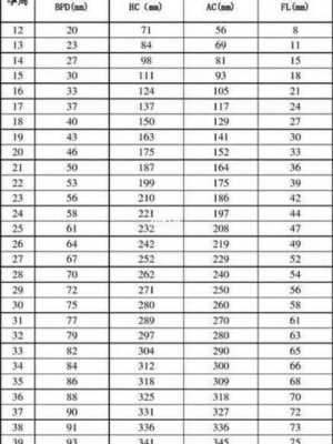 22周的胎儿一般头围标准为多少啊,22周胎儿位置图 第2张 22周的胎儿一般头围标准为多少啊,22周胎儿位置图 第2张