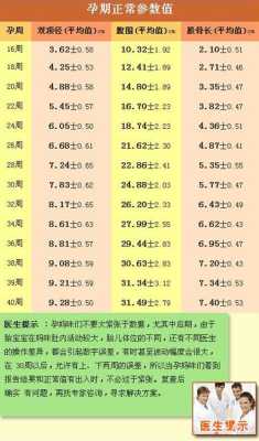 早孕三项指标正常值是多少,胎儿彩超指标参照表 第2张 早孕三项指标正常值是多少,胎儿彩超指标参照表 第2张