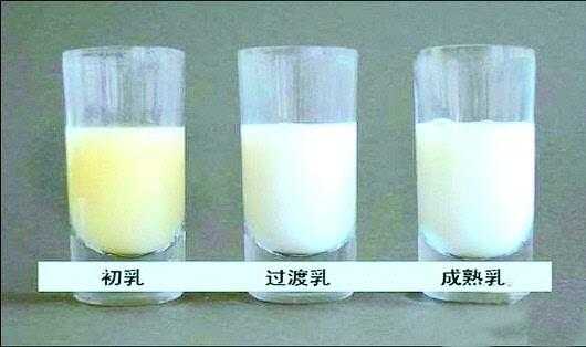 孕期有乳汁(孕期有乳汁正常吗) 第1张 孕期有乳汁(孕期有乳汁正常吗) 第1张