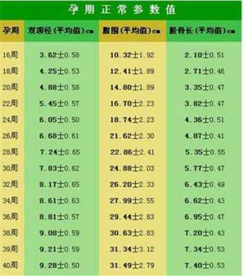 胎儿偏下有什么影响(儿童身高中减是什么意思) 第3张 胎儿偏下有什么影响(儿童身高中减是什么意思) 第3张