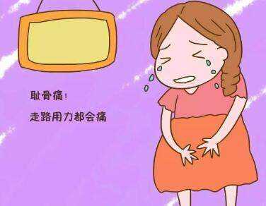 孕期趾骨痛(为什么我孕四个月就开始耻骨痛) 第2张 孕期趾骨痛(为什么我孕四个月就开始耻骨痛) 第2张