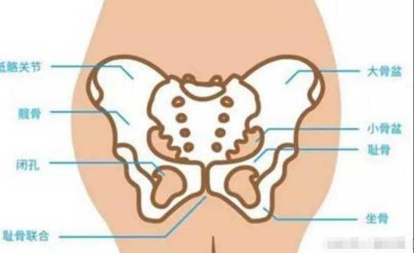 孕妇盆骨痛是什么原因,孕期骨盆疼痛如何缓解 第2张 孕妇盆骨痛是什么原因,孕期骨盆疼痛如何缓解 第2张