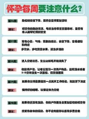 孕妇在怀孕期间需要注意些什么,孕期围保是什么意思 第1张 孕妇在怀孕期间需要注意些什么,孕期围保是什么意思 第1张