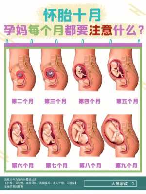 孕妇在怀孕期间需要注意些什么,孕期围保是什么意思 第3张 孕妇在怀孕期间需要注意些什么,孕期围保是什么意思 第3张