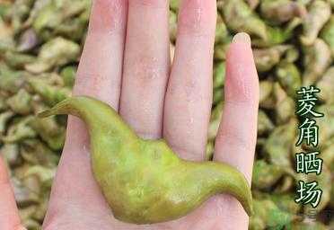 孕妇吃菱角对胎儿好吗（宝宝可以吃菱角吗）  第1张