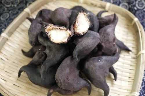 孕妇吃菱角对胎儿好吗（宝宝可以吃菱角吗）  第3张