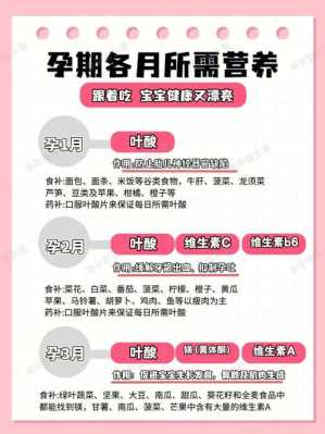 孕期营养均衡(孕期营养均衡的重要性) 第2张 孕期营养均衡(孕期营养均衡的重要性) 第2张