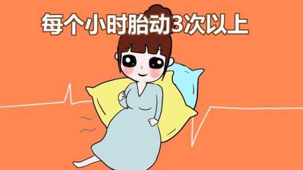 怀孕6个月胎儿胎动位置在哪里才正常呢,胎儿六个月胎动频繁正常吗 第1张 怀孕6个月胎儿胎动位置在哪里才正常呢,胎儿六个月胎动频繁正常吗 第1张