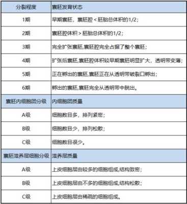 试管胚胎等级有哪些,胎儿级别是什么意思啊 第1张 试管胚胎等级有哪些,胎儿级别是什么意思啊 第1张