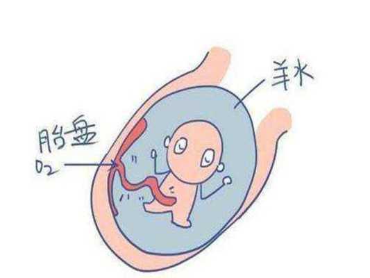 胎儿没膀胱(胎儿没膀胱会有羊水吗) 第2张 胎儿没膀胱(胎儿没膀胱会有羊水吗) 第2张