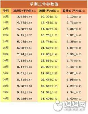 82天孕期(682天是多少年多少个月) 第1张 82天孕期(682天是多少年多少个月) 第1张