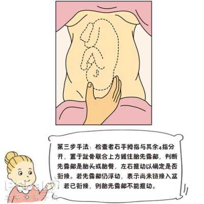 摸胎儿会动(摸胎儿会动) 第1张 摸胎儿会动(摸胎儿会动) 第1张