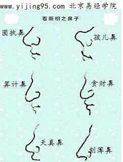 鼻子的拟人化30字,胎儿鼻梁偏短怎么办 第3张 鼻子的拟人化30字,胎儿鼻梁偏短怎么办 第3张