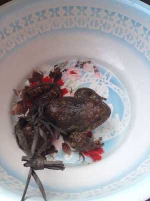 孕期吃石蛙(怀孕吃石蛙) 第3张 孕期吃石蛙(怀孕吃石蛙) 第3张