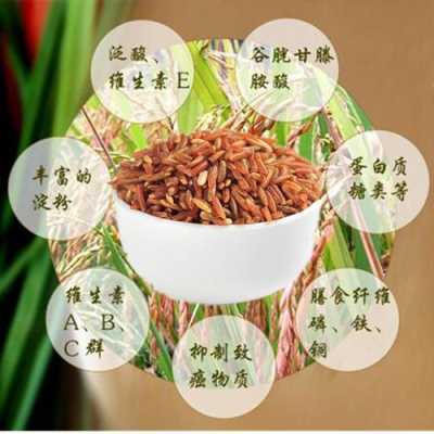 红米孕妇可以吃吗,孕期吃红米有什么好处 第1张 红米孕妇可以吃吗,孕期吃红米有什么好处 第1张