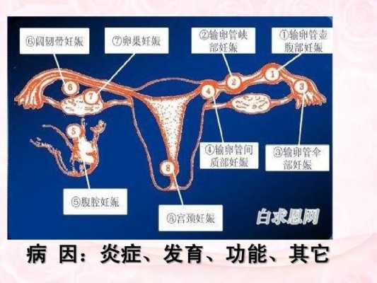 炎症怀孕对胎儿的影响(炎症怀孕对胎儿的影响有哪些) 第2张 炎症怀孕对胎儿的影响(炎症怀孕对胎儿的影响有哪些) 第2张