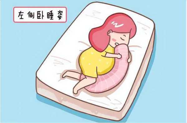 怀孕7个月。左侧躺的时候宝宝动的厉害,胎儿在左边能左侧睡吗图片 第2张 怀孕7个月。左侧躺的时候宝宝动的厉害,胎儿在左边能左侧睡吗图片 第2张