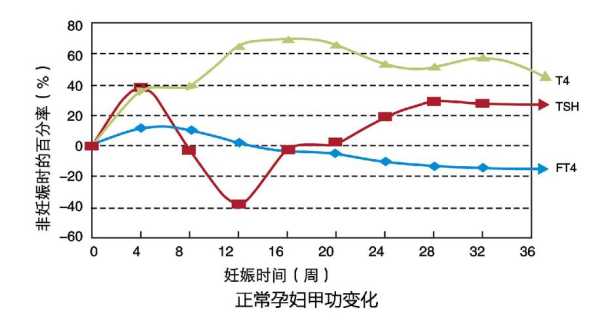 孕妇血钾低对胎儿影响(孕妇血钾低对胎儿影响) 第2张 孕妇血钾低对胎儿影响(孕妇血钾低对胎儿影响) 第2张