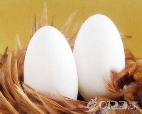 孕期鹅蛋什么时候吃(怀孕了,为什么要吃鹅蛋呢?孕妇要从几个月开始吃鹅蛋,为什么) 第2张 孕期鹅蛋什么时候吃(怀孕了,为什么要吃鹅蛋呢?孕妇要从几个月开始吃鹅蛋,为什么) 第2张