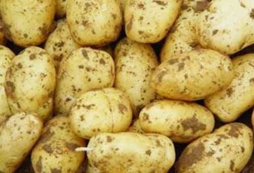 孕期吃土豆有什么好处(孕期吃土豆有什么好处和坏处) 第3张 孕期吃土豆有什么好处(孕期吃土豆有什么好处和坏处) 第3张