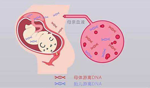 脑瘫在怀孕期间能查出来吗,脑瘫孕期能查出来吗无创DNA 第2张 脑瘫在怀孕期间能查出来吗,脑瘫孕期能查出来吗无创DNA 第2张