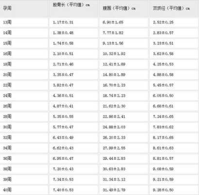 胎儿股骨表(股骨长和股骨径是什么意思) 第2张 胎儿股骨表(股骨长和股骨径是什么意思) 第2张