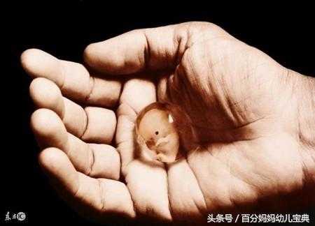 胎儿死图片(人为什么都要死呢?如果早晚都会死,那活着还有什么意义呢) 第3张 胎儿死图片(人为什么都要死呢?如果早晚都会死,那活着还有什么意义呢) 第3张