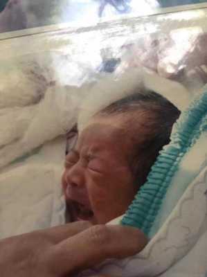 新生儿怎么看鼻梁高不高我老公鼻子很高,胎儿鼻梁高是男孩吗 第3张 新生儿怎么看鼻梁高不高我老公鼻子很高,胎儿鼻梁高是男孩吗 第3张