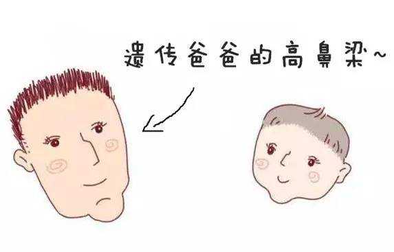 新生儿怎么看鼻梁高不高我老公鼻子很高,胎儿鼻梁高是男孩吗 第2张 新生儿怎么看鼻梁高不高我老公鼻子很高,胎儿鼻梁高是男孩吗 第2张