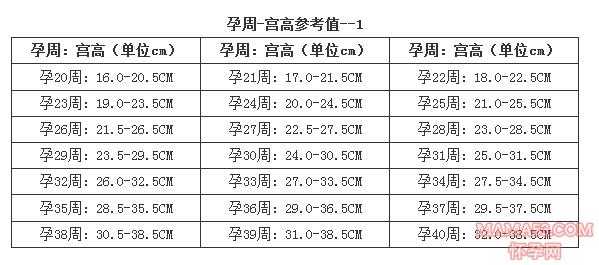 胎儿足月腹围(怀孕39周了宮高多少才是正常值啊还有腹围) 第1张 胎儿足月腹围(怀孕39周了宮高多少才是正常值啊还有腹围) 第1张
