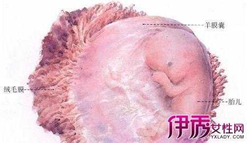 胎儿小9天(胎儿小9天严重吗) 第2张 胎儿小9天(胎儿小9天严重吗) 第2张
