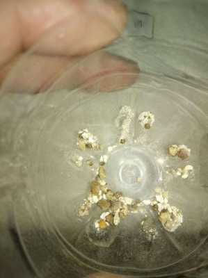 孕期碎石(孕期碎石对胎儿有影响吗) 第2张 孕期碎石(孕期碎石对胎儿有影响吗) 第2张