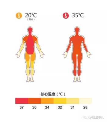 孕期打冷颤(孕期打冷颤) 第2张 孕期打冷颤(孕期打冷颤) 第2张