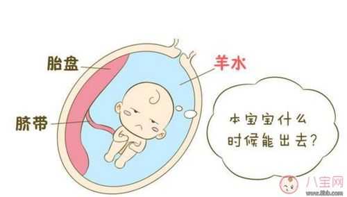羊水偏多对胎儿有影响吗,羊水偏多对胎儿的影响及解决办法 第1张 羊水偏多对胎儿有影响吗,羊水偏多对胎儿的影响及解决办法 第1张