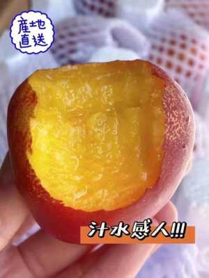 桃子孕妇可以吃吗,孕妇吃油桃对胎儿好吗有影响吗  第3张