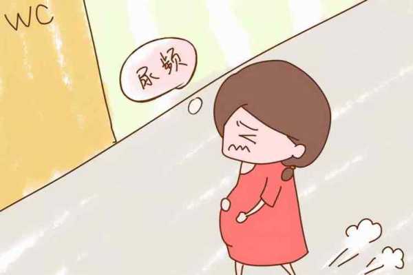怀孕嗜睡是怎么回事,孕期睡眠多取什么位 第3张 怀孕嗜睡是怎么回事,孕期睡眠多取什么位 第3张
