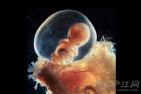 怀孕15周就有胎动正常吗,孕15周胎儿稳定了吗?我反应几乎没有了 第2张 怀孕15周就有胎动正常吗,孕15周胎儿稳定了吗?我反应几乎没有了 第2张