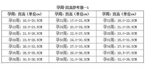36周胎儿腹围标准值(36周胎儿腹围标准值是多少) 第2张 36周胎儿腹围标准值(36周胎儿腹围标准值是多少) 第2张