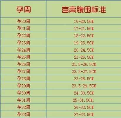 36周胎儿腹围标准值(36周胎儿腹围标准值是多少) 第1张 36周胎儿腹围标准值(36周胎儿腹围标准值是多少) 第1张