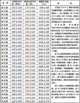 怀孕37周胎儿双顶径(37周双顶径88mm正常吗) 第3张 怀孕37周胎儿双顶径(37周双顶径88mm正常吗) 第3张