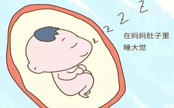 胎儿在肚子里一天睡多久(胎儿在肚子里一天睡多久觉) 第2张 胎儿在肚子里一天睡多久(胎儿在肚子里一天睡多久觉) 第2张