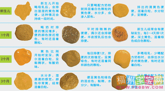 孕期排便正常(孕妇一天去3次大便是正常的吗) 第3张 孕期排便正常(孕妇一天去3次大便是正常的吗) 第3张