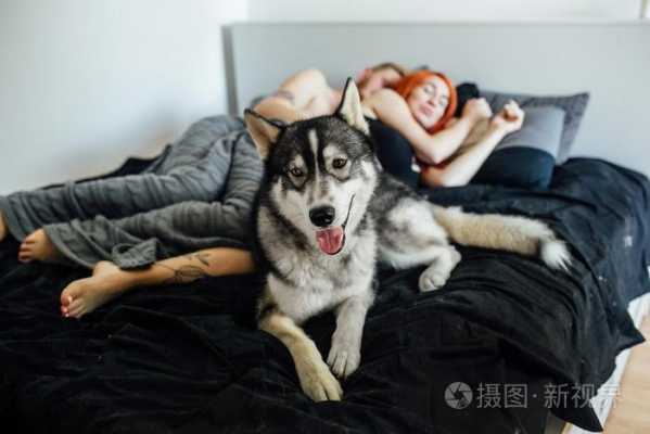 孕期舔老婆(老婆怀孕了狗要送人吗) 第2张 孕期舔老婆(老婆怀孕了狗要送人吗) 第2张