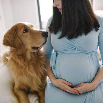 孕期舔老婆(老婆怀孕了狗要送人吗) 第1张 孕期舔老婆(老婆怀孕了狗要送人吗) 第1张